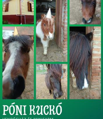 Hosszuvolgy Maison | Póni Kuckó Vendégház és Minifarm