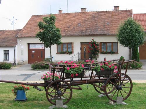 Sakvice Maison | Půjčovna a ubytování pod Pálavou