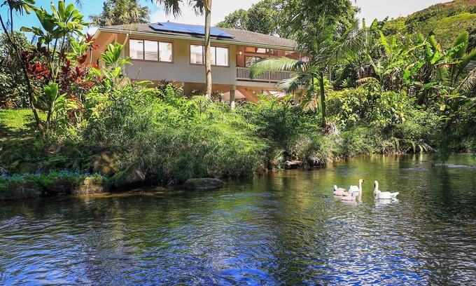 Wainiha Maison | ♥ River Estate Guest House ♥ Riverfront ♥ Climatisé ♥ Romantique ♥ Privé ♥ Paisible ♥ TVNC 5132