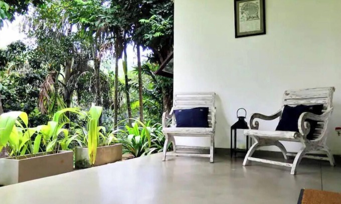 Cheena Kotuwa Cabine | Paddy view superior bungalow 2