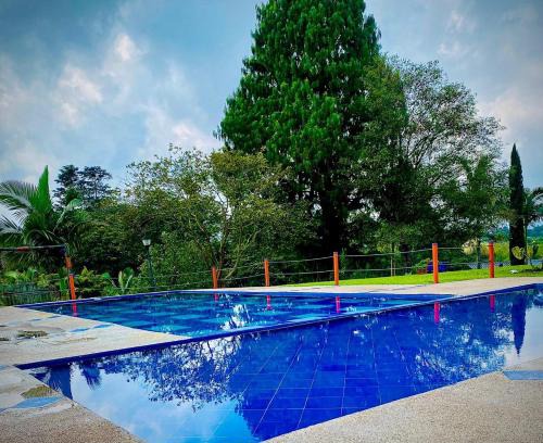Filandia Hôtel | Paisaje Cafetero Hotel Con Piscina y desayuno - Filandia
