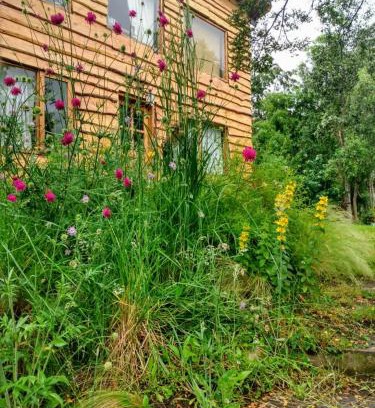 La Villa Maison | Paisaje Nativo