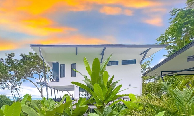 Ballena Maison | Palco del Mar