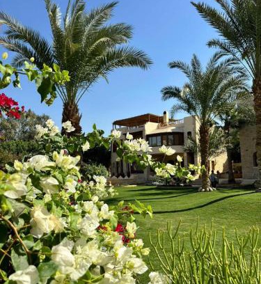 Tunis Village Hôtel | palm shadow resort