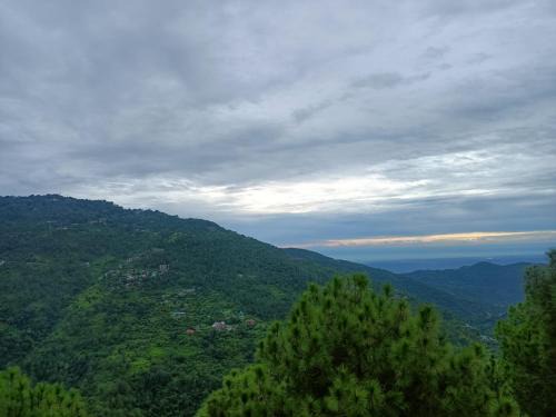 Kasauli Appartement | Palm Tree Paradise Retreat