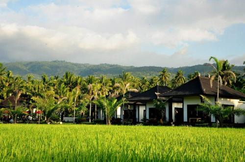 Lovina Station Balnéaire | Pandawa Village
