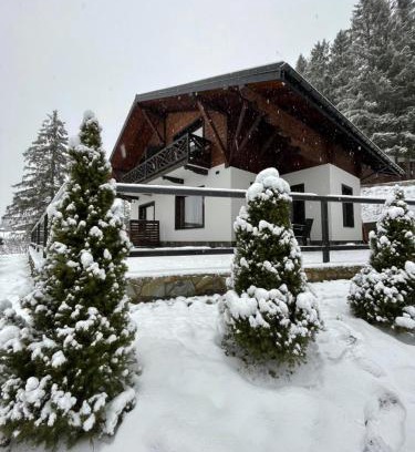 Slavske Chalet De Ski | Panorama