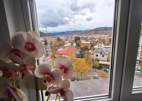 Piatra Neamt Appartement | Panoramic Central Apartment