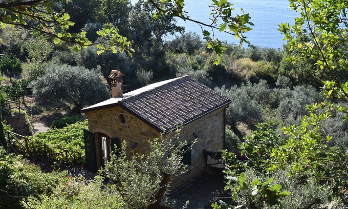 Castellabate Historic Centre Cottage | Maison de Campagne Panoramique avec Vue sur Mer dans le Cilento