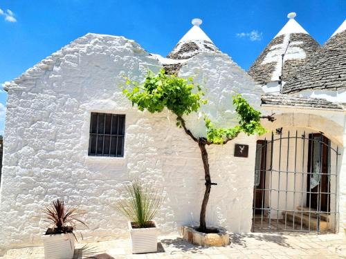 The Trulli of Alberobello Maison | Panoramic Terrace