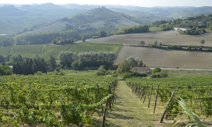 Alba Lit Et Petit-Déjeuner | VUE PANORAMIQUE, RELAXANT, BIKE, FINE-FOOD, VIN ET PLUS. Chambres d'hôtes à Alba