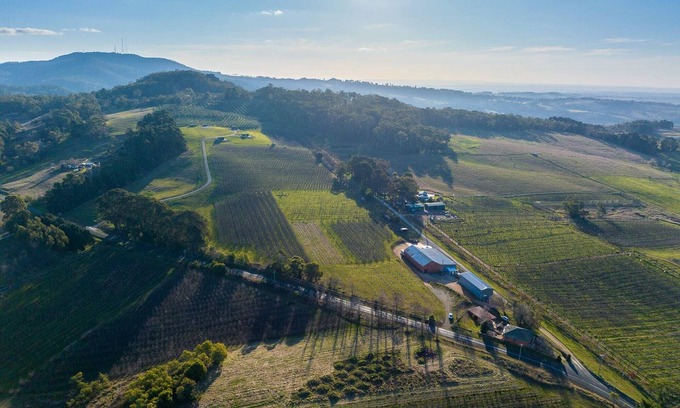 Canobolas Maison | Panoramic Views on Pinnacle - 3 Bedroom Farm Stay