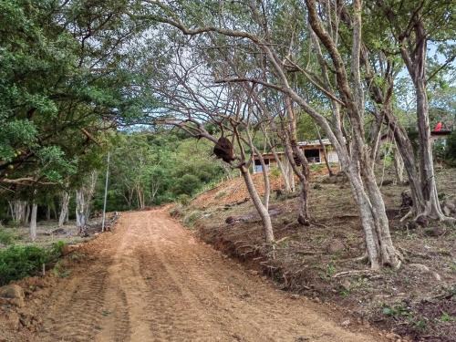 La Cruz Appartement | Papaturro House