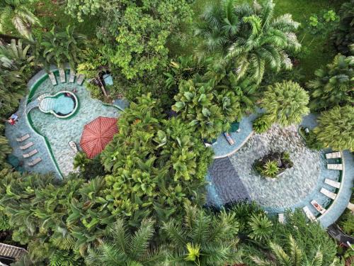 Arenal Hot Springs Hôtel | Paradise Hot Springs - Thermal Water & Volcano Views