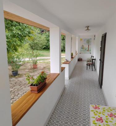 Homokmegy Maison | Parittyaház