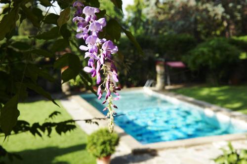 Oltrarno Hôtel | Park Palace Hotel