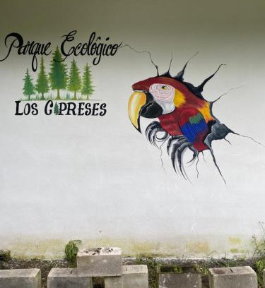 San Vicente Pacaya Autre | Parque Ecológico los Cipreses Volcán Pacaya