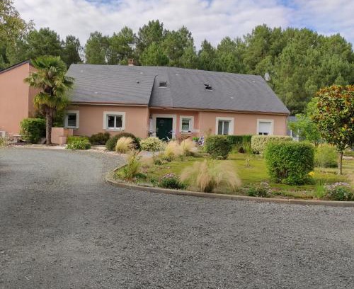 Chateau-l'Hermitage Maison | Pascal et Domi CHAMBRES "l'oasis des pins"