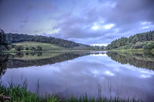 Magoebaskloof Hôtel | Pavetta Country House