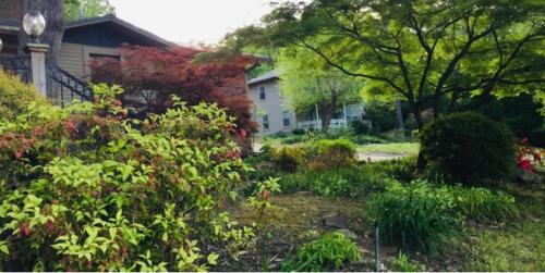 Morrilton Maison | Paw Paw Tree Estate with Guest House