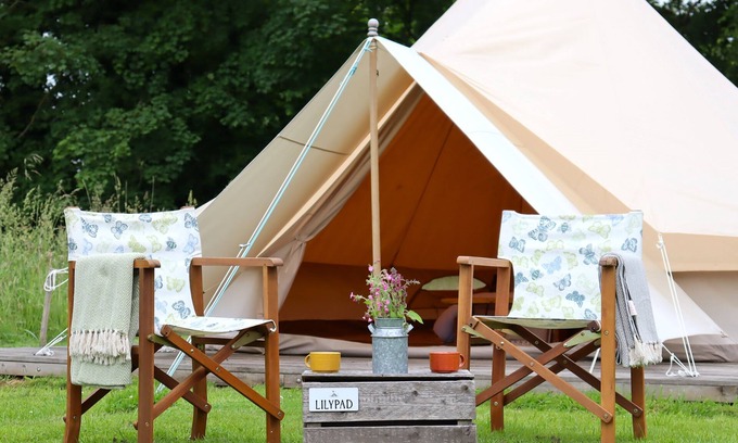 Swannington Cabine | Peaceful and hidden away in rural Norfolk, Lilypad sits amongst wild flowers