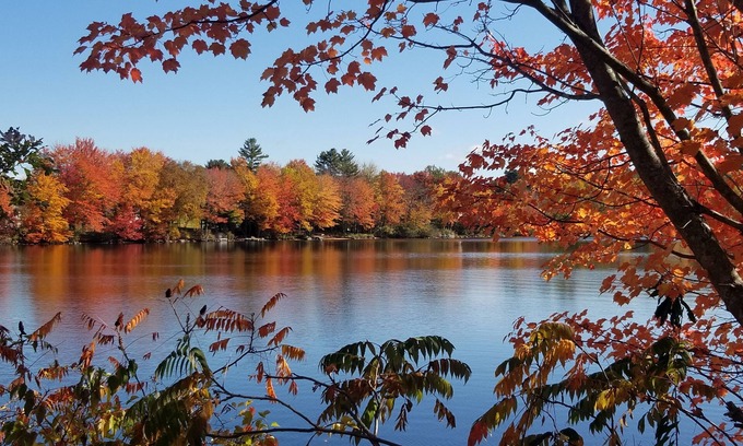 Wolfeboro Maison | Peaceful and spacious house. Snowmobile, XC Skiing just behind the house.