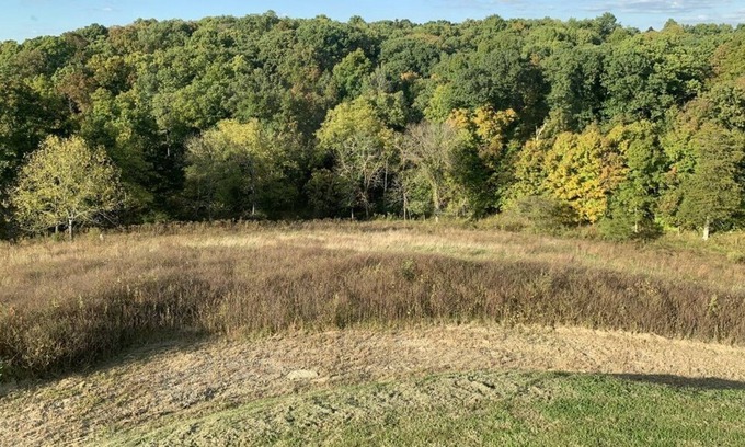 Perry Park Cabine | Peaceful, Beautiful Views, 10 miles to State Capitol