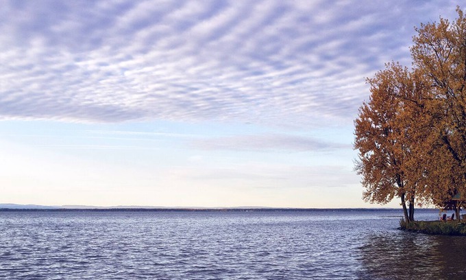 Bernhards Bay Cottage | Campez sur le lac Oneida!