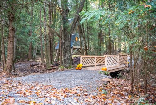 Tylersburg Autre | Peaceful Pines Treehouse