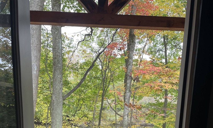 Clearfield Cabine | Peaceful Primitive Riverfront Cabin. Pet Friendly