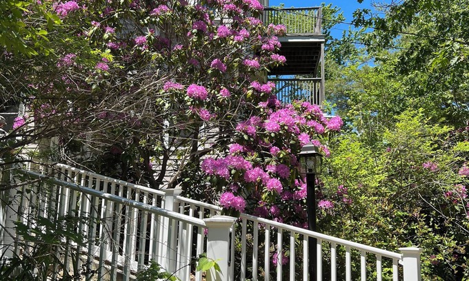 Cape Neddick Maison | Peaceful retreat among the trees only a five minute walk to Perkins Cove
