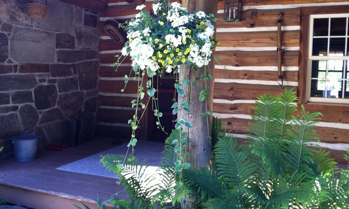 Clarendon Cabine | Peaceful Retreat surrounded by things to explore