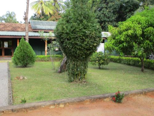 Habarana Lit Et Petit-Déjeuner | Peacock Lake Villa