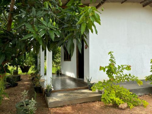 Dambulla Maison | Peacock village and family resort