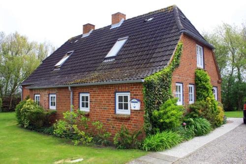 Tumlauer Koog Appartement | Peerblick