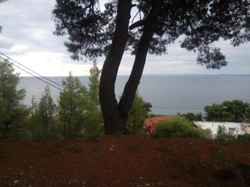 Psakoudia Appartement | Pefkonas apartments2 100 m from the beach