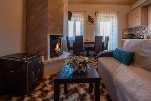 Metsovo Maison | Pefkos House