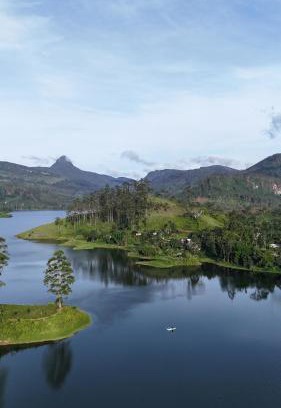 Maskeliya Maison | Pekoe Lodge