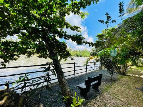 Pelena Hôtel | Pelli Riverine