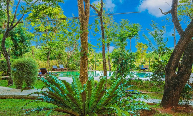 Dambulla Hôtel | Pelwehera Village Resort