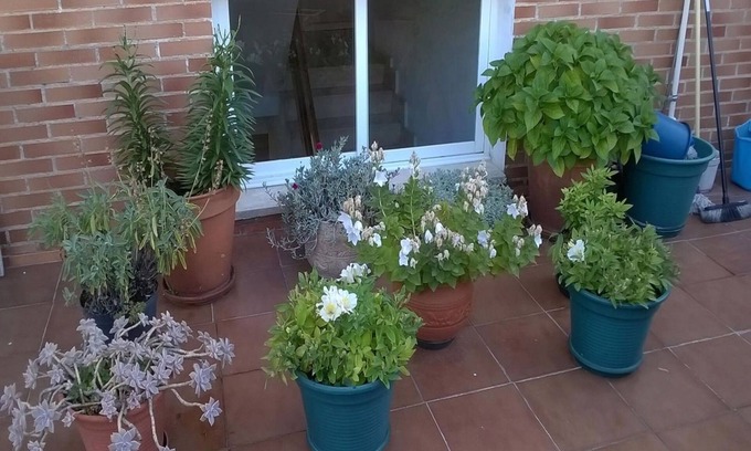 Miranda de Ebro Maison | Pensión Las Matillas