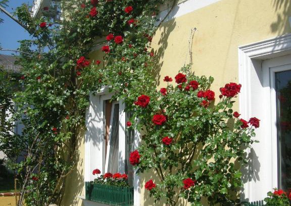 Unterpremstaetten Maison | Pension Arkadenhof