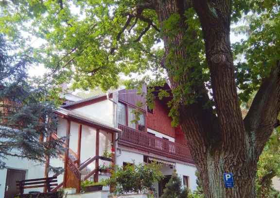 Thiergarten Maison | Pension Fischer