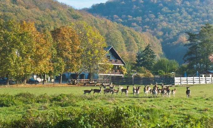 Handthal Maison | Pension Margarete