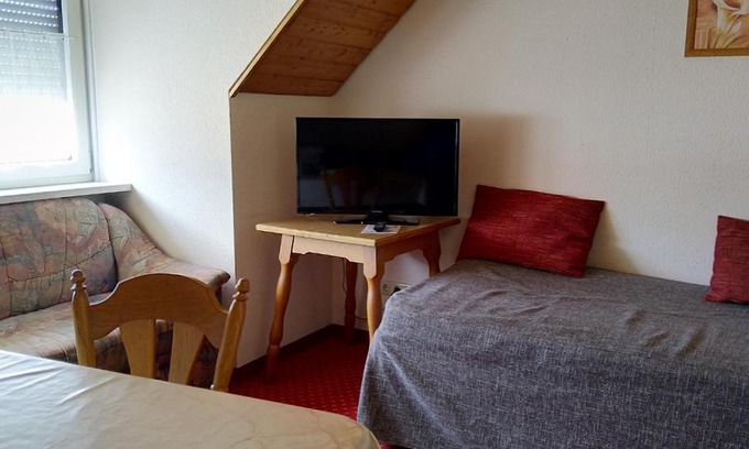 Bad Goegging Appartement | Pension Schneider, Ferienwohnung
