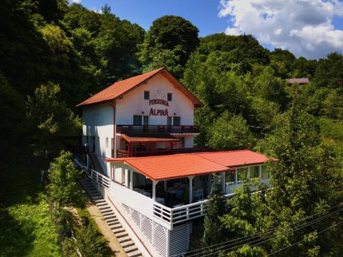 Malaia Maison | Pensiunea Alpina