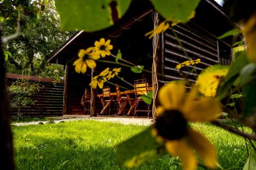 Valea Mare-Pravat Cabine | Pensiunea Namaesti