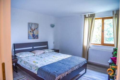 Luncavita Maison | Pensiunea Silva Home
