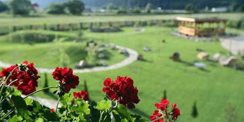 Bucsoaia Maison | Pensiunea Varvara de Bucovina