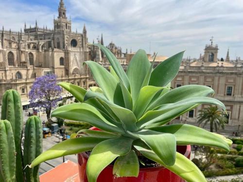 El Arenal Appartement | Penthouse in front Giralda